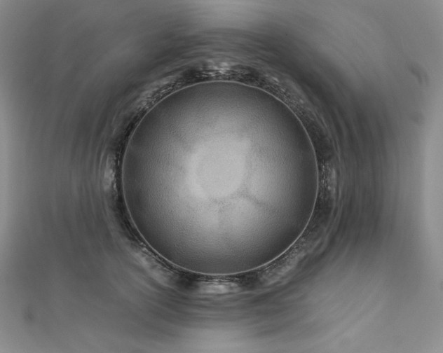 X0000113150754200909041233