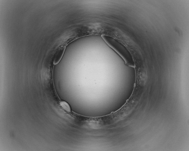 X0000113150756200909041233