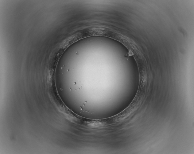 X0000113150759200909041233