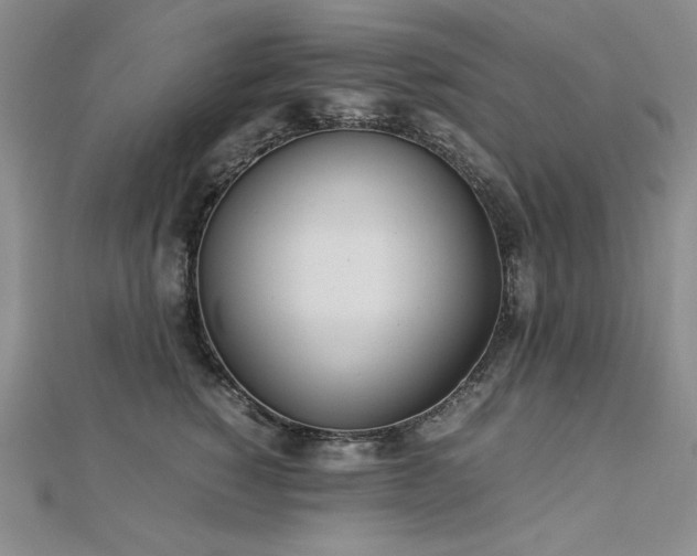 X0000113150760200909041233