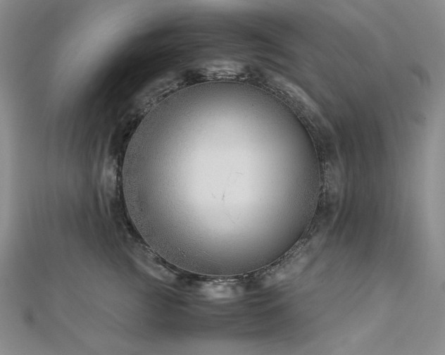 X0000113150761200909041233