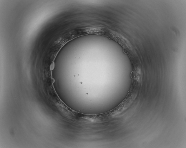 X0000113150763200909041233