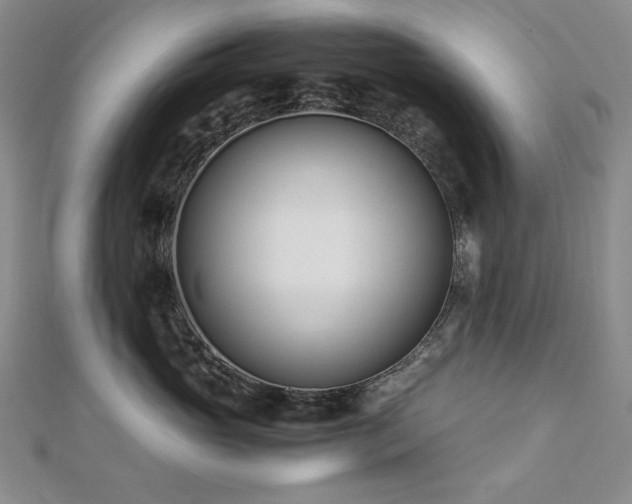 X0000113150765200909041233