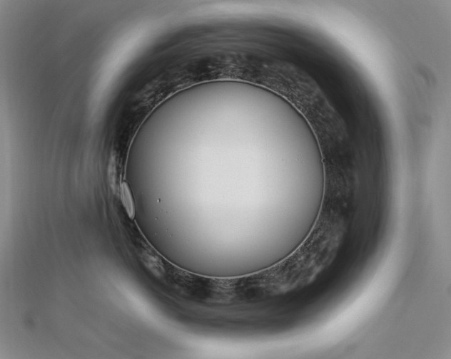 X0000113150766200909041233