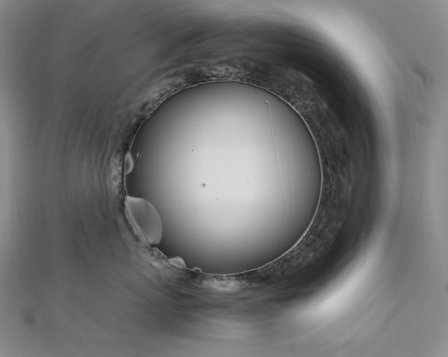 X0000113150767200909041233