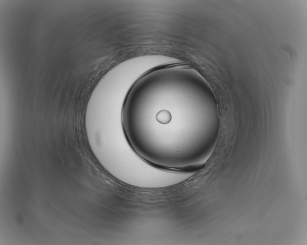 X0000113150768200909041233