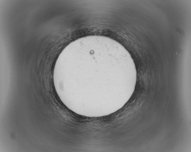 X0000113150769200909041232