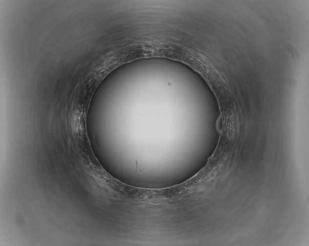 X0000113150770200909041232