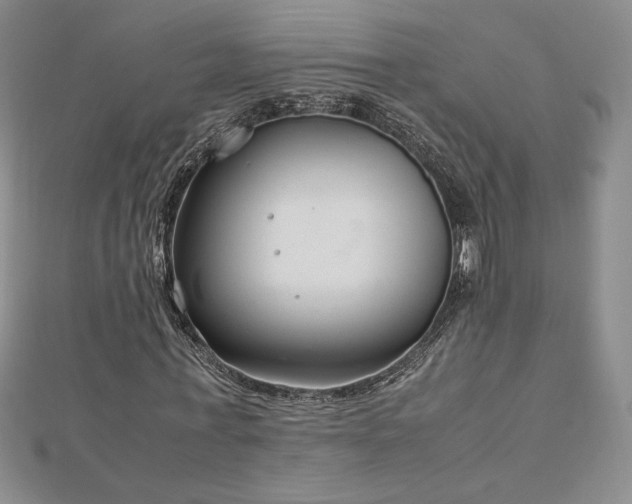 X0000113150771200909041232