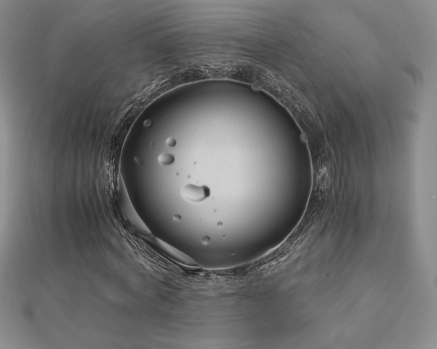 X0000113150772200909041232