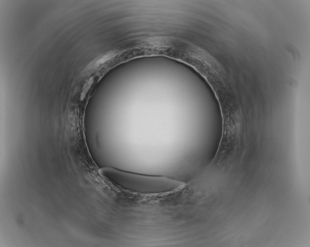 X0000113150773200909041232