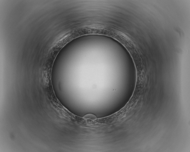 X0000113150774200909041232