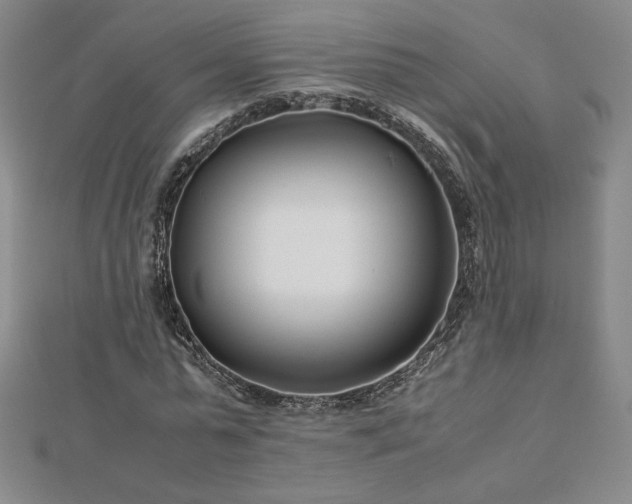 X0000113150775200909041232