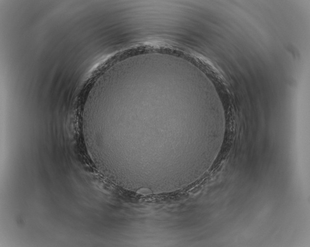 X0000113150776200909041232