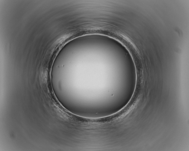 X0000113150777200909041232