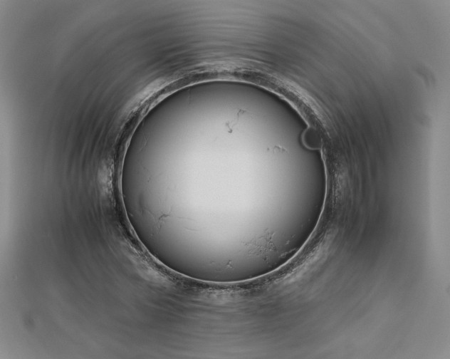 X0000113150778200909041232