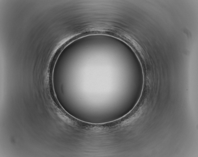 X0000113150779200909041232