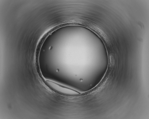 X0000113150780200909041232