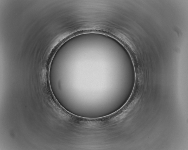 X0000113150781200909041232