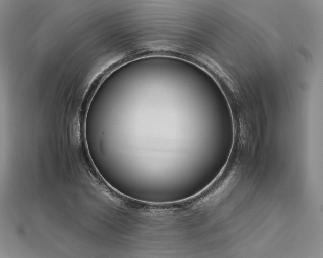 X0000113150782200909041232