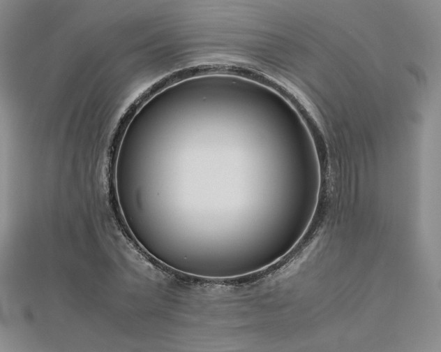 X0000113150783200909041232