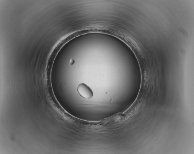 X0000113150784200909041232