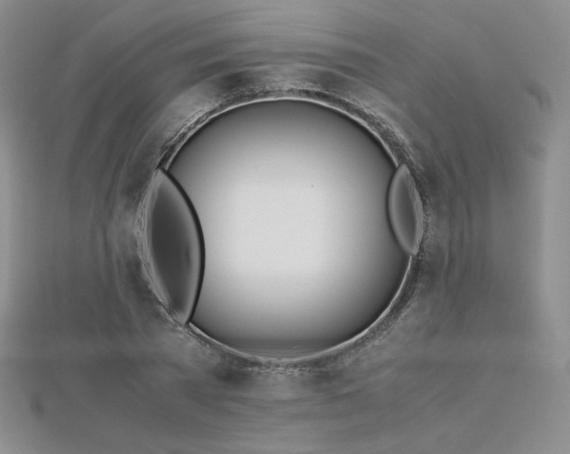 X0000113150785200909041232