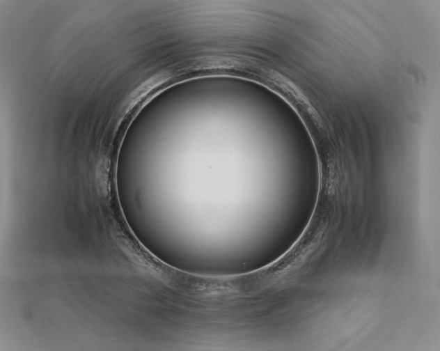 X0000113150786200909041232