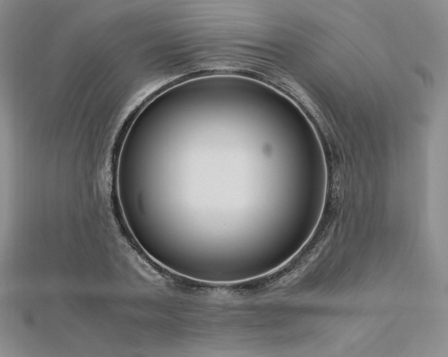 X0000113150787200909041232