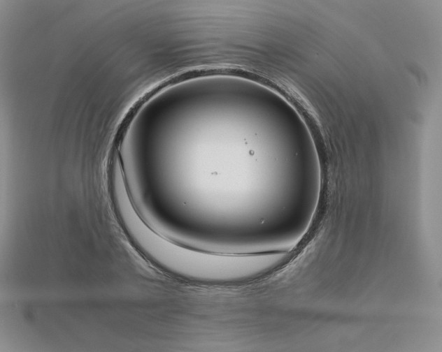 X0000113150789200909041232