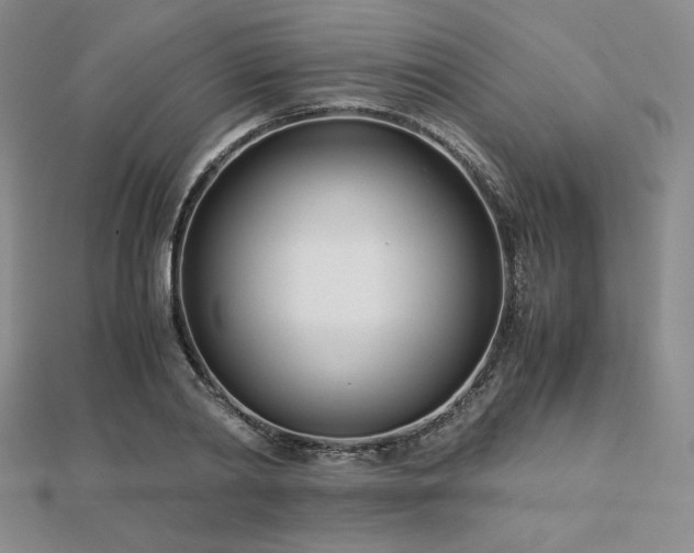 X0000113150790200909041232