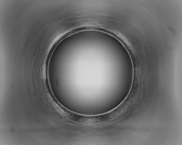 X0000113150791200909041232