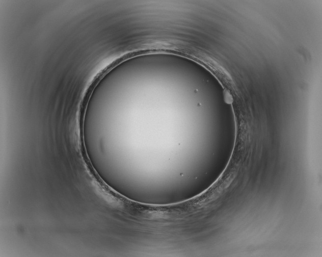 X0000113150792200909041232