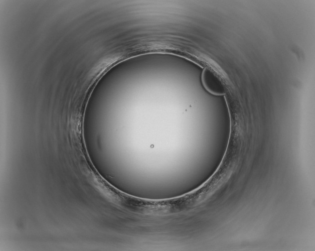 X0000113150793200909041232