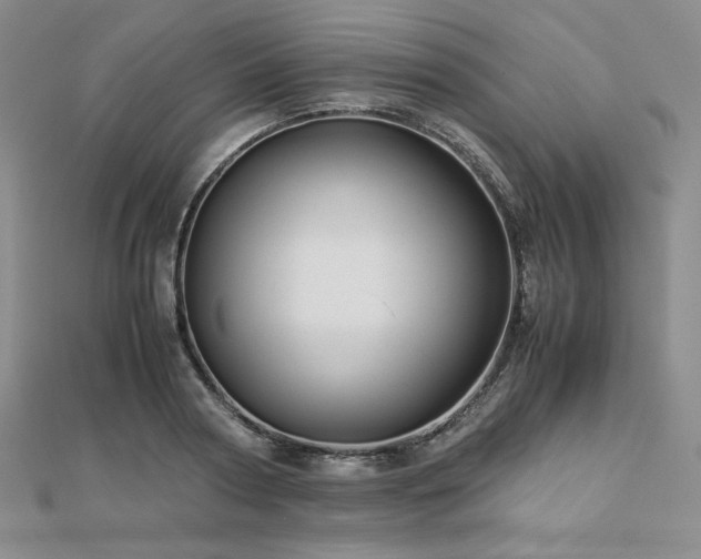 X0000113150794200909041232