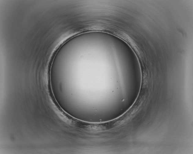 X0000113150795200909041232