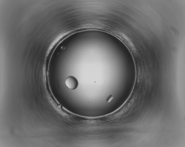 X0000113150796200909041232