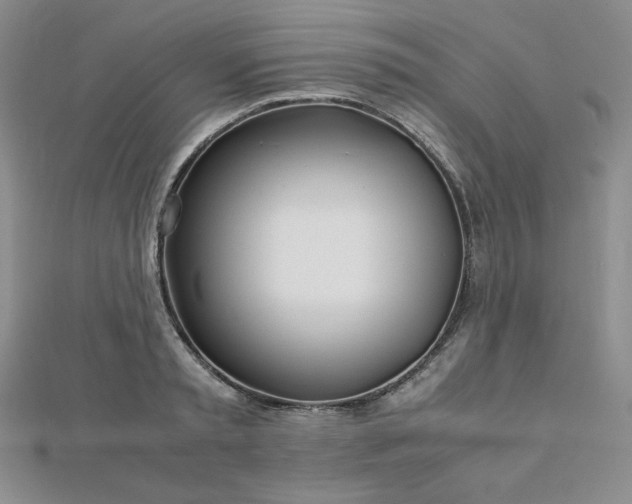 X0000113150797200909041232