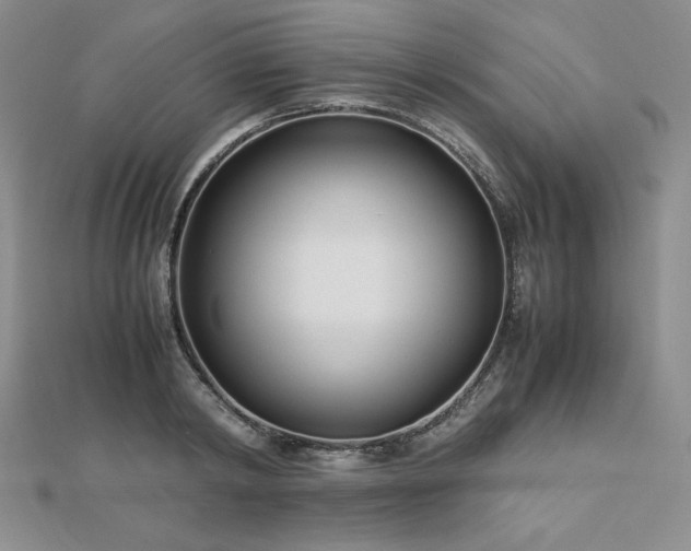 X0000113150798200909041232