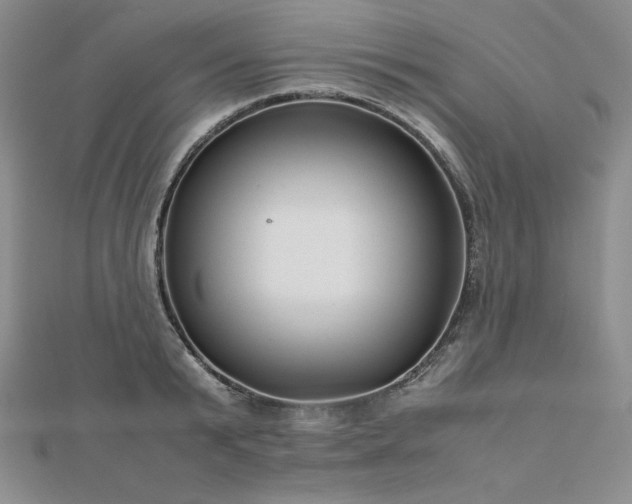 X0000113150799200909041232