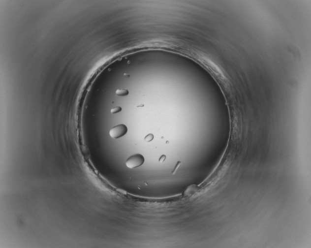 X0000113150800200909041232