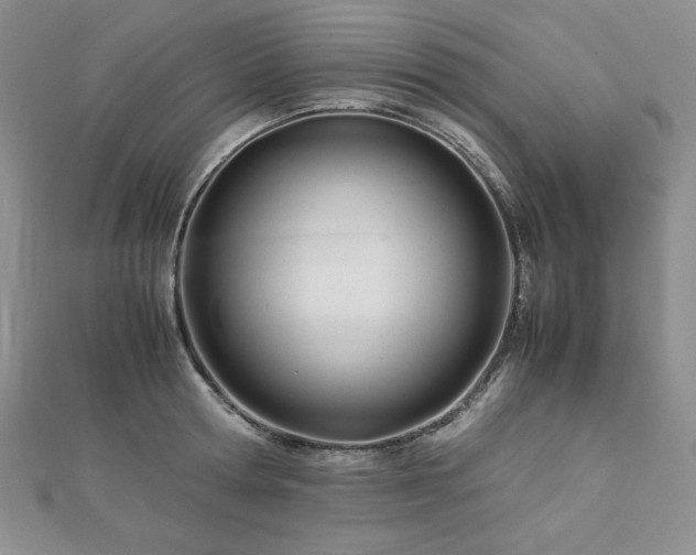 X0000113150802200909041232