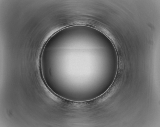 X0000113150803200909041232