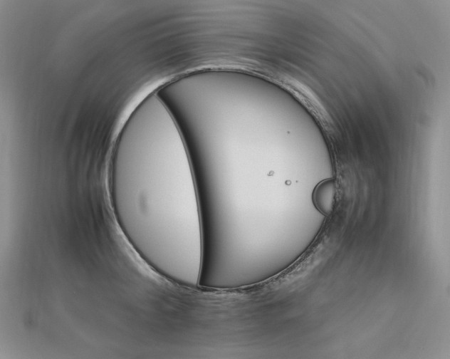 X0000113150804200909041232