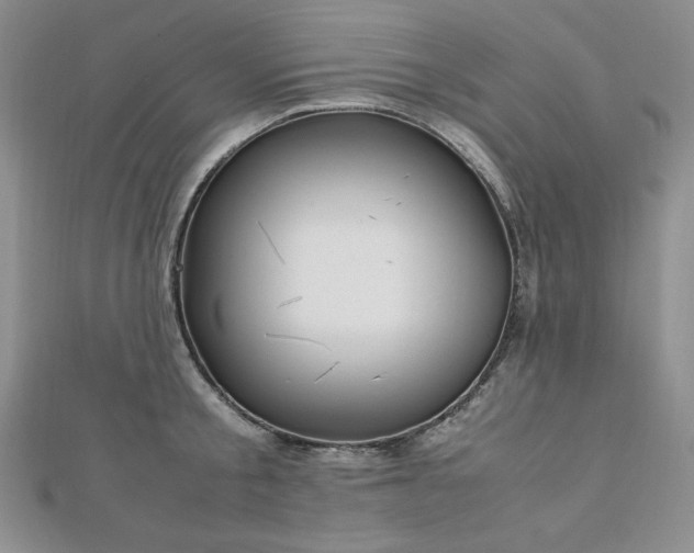 X0000113150805200909041232