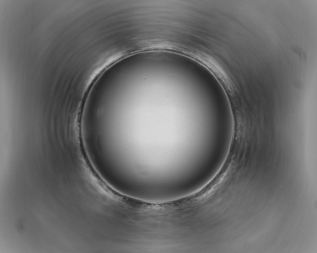 X0000113150806200909041232