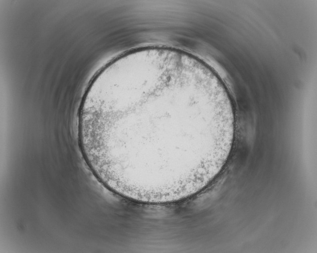 X0000113150807200909041232