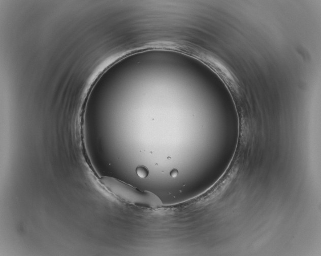 X0000113150808200909041232