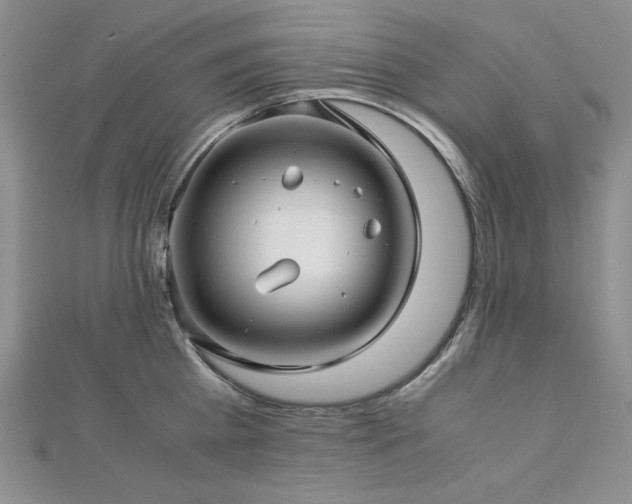 X0000113150809200909041232