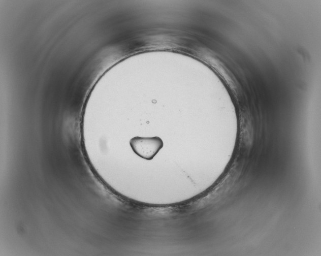 X0000113150810200909041232